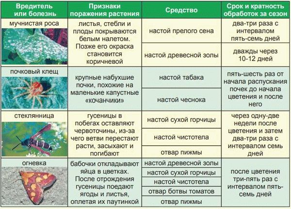 Что нужно знать о вредителе?