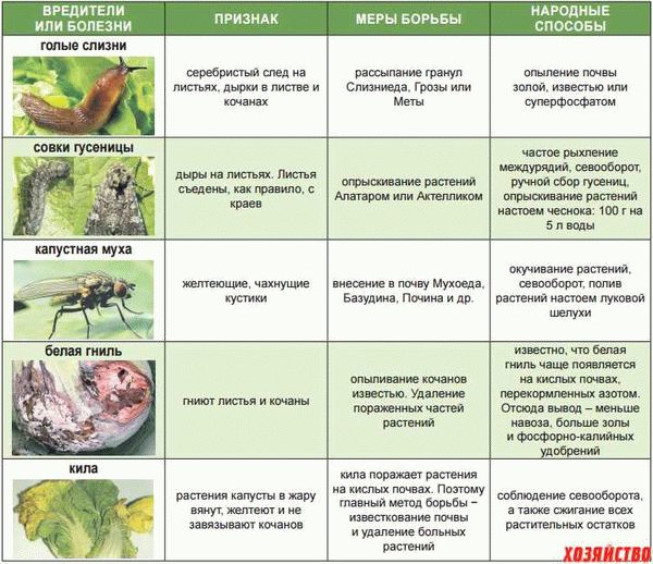 Профилактические меры огороднику в помощь