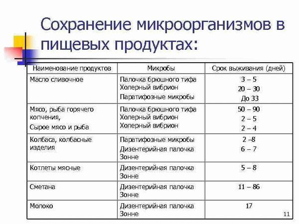 Может ли кишечная палочка выжить в морозильной камере?