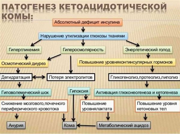 К каким докторам следует обращаться если у Вас Анкилостомидоз?