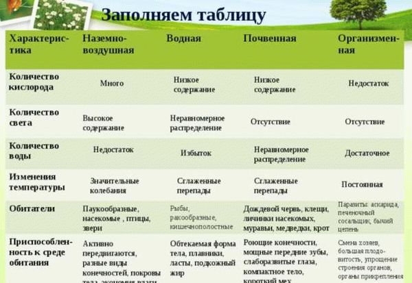 Бабочка адмирал (60 фото) - описание, виды и среда обитания: чем отличаются?