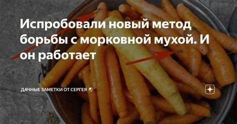 Препараты от морковной мухи