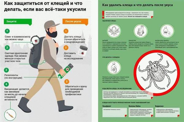 Посоветуйтесь с ветеринаром