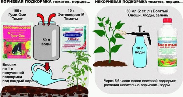 Инструкция по применению удобрения «органик томатов микс» для подкормки томатов