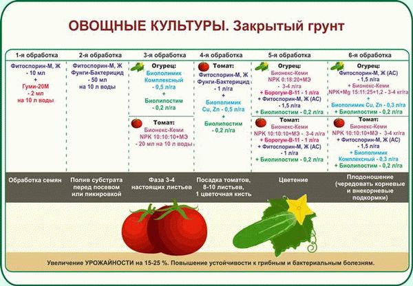 Плюсы и минусы использования органических удобрений для подкормки томатов