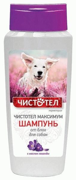 Инструкция