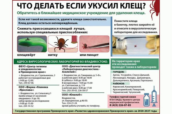 Какие препараты используют при укусе?