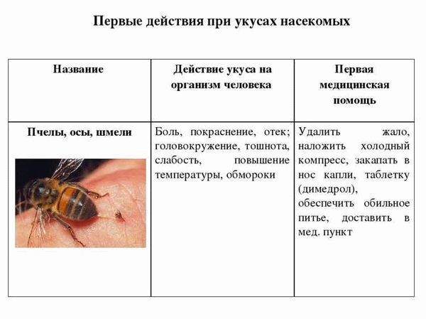 Что может случиться от укуса?