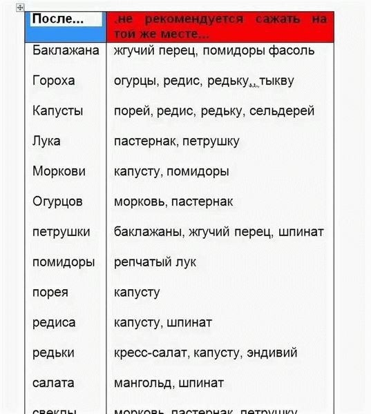 Важность соблюдения правил севооборота для хорошего урожая