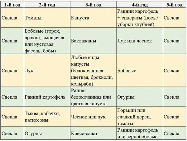 Что можно посадить после моркови