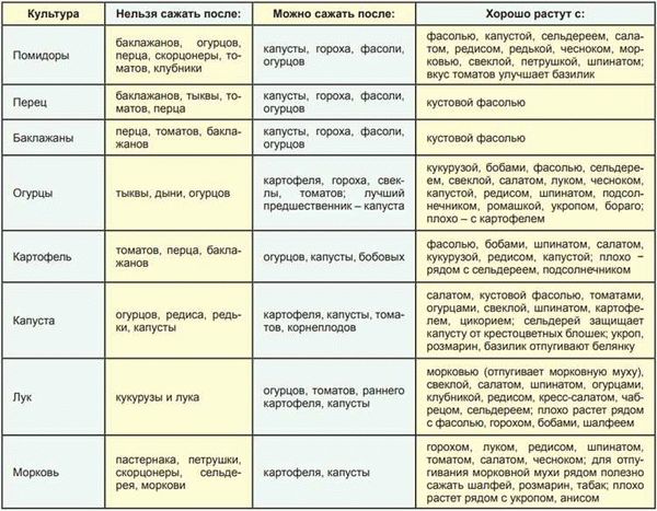 Культуры для высадки после моркови