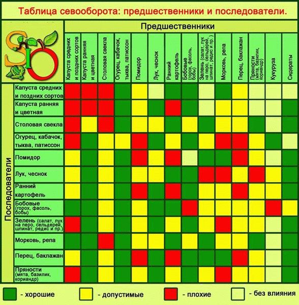 Советы по уходу за новыми посадками: