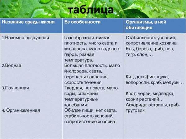 Красный спрыгнувший паук