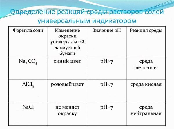 Паук скакун