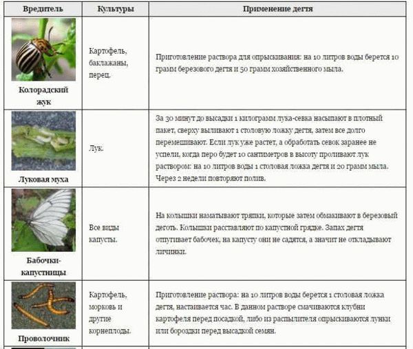 Совместимость дегтярного мыла с другими препаратами