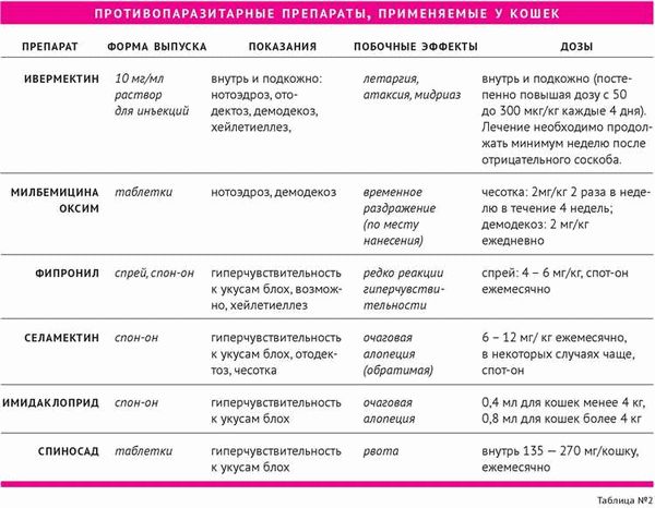 Советы и рекомендации