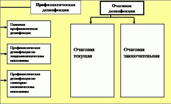 Виды и способы дезинфекции