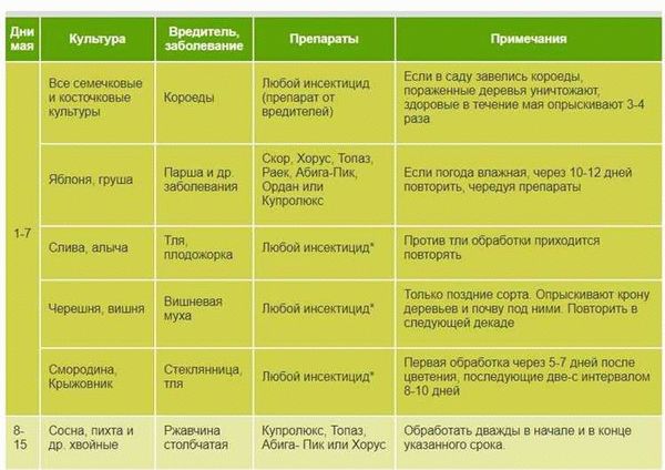 Дуст от клопов: как пользоваться, как действует, как смешивать с водой