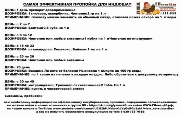 Энтомозан - инструкция по применению, правила приготовления: описание и характеристики