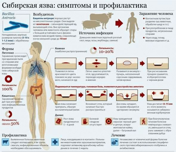 Симптомы и лечение в Москве