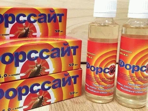 Сколько стоит и где можно найти это средство?