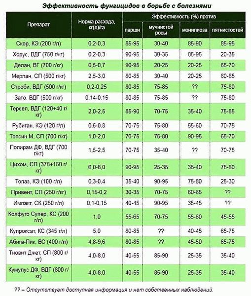 Список эффективных фунгицидов для растений