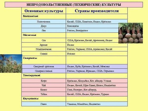 Экскурсия по заводу