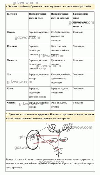 Какие могут быть повреждения ствола яблони