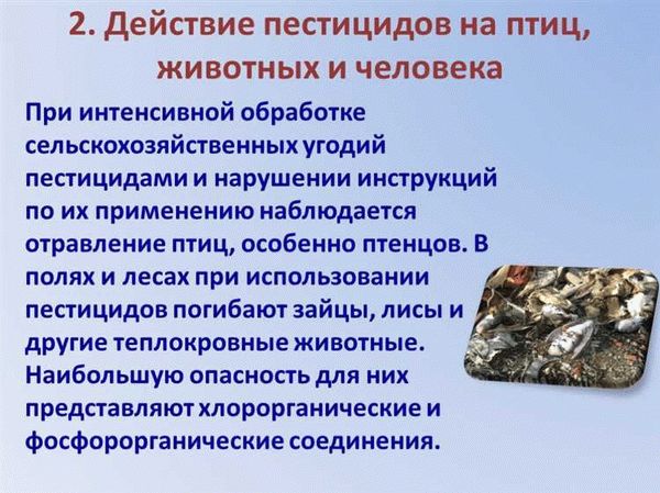 Возможность возникновения резистентности