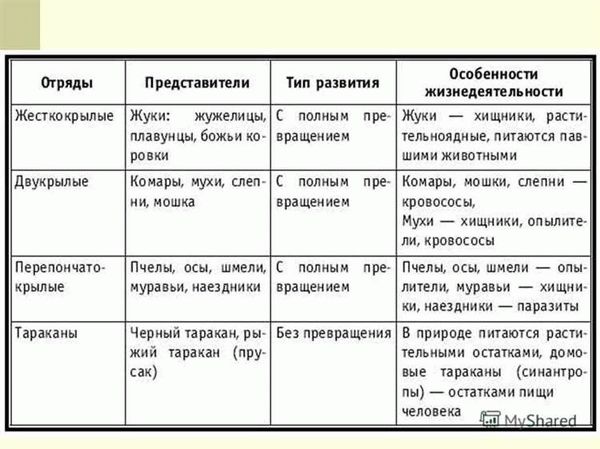 Этапы развития: от яйца до взрослой особи