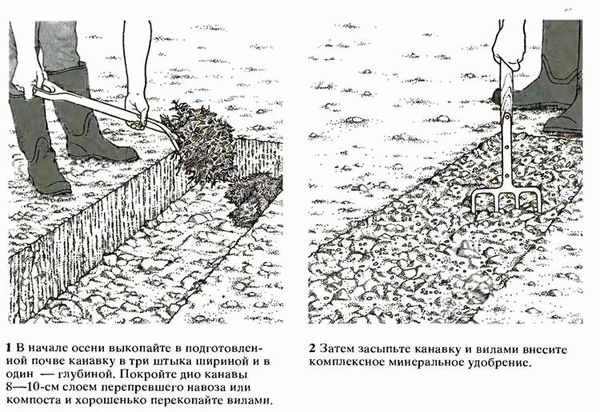  Подготовка почвы 