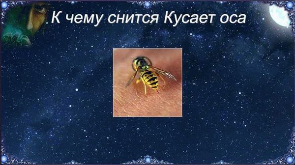 Во сне летает много мух