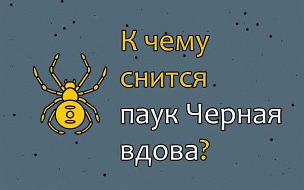 Сонник Мисс Хассе: расшифровка сна про паука и паутину