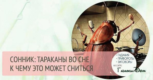 Значение сновидений с тараканами в разных сонниках