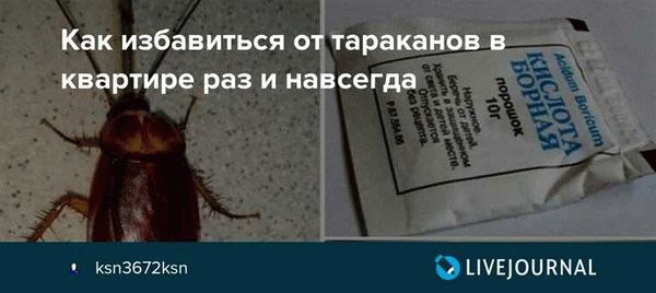 Народные средства от тараканов