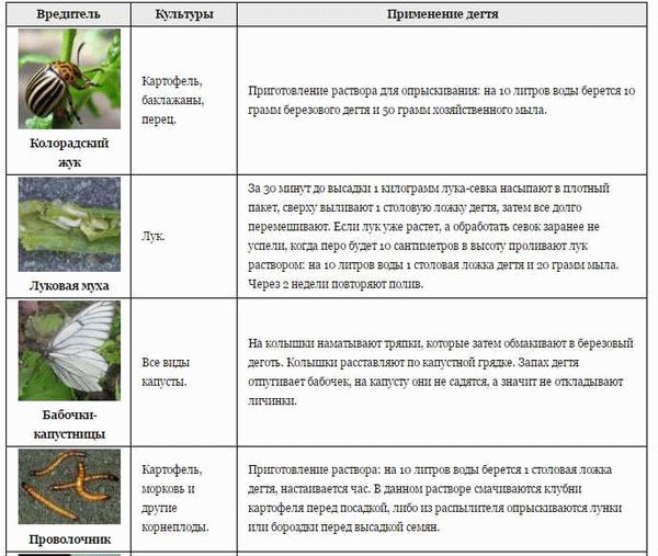 Отзывы о народных средствах против луковой мухи