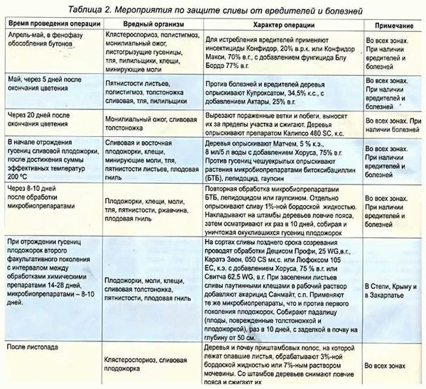 Описание и биологические особенности плодожорки на сливе