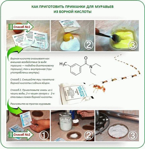 Преимущества и недостатки применения борной кислоты в борьбе с тараканами