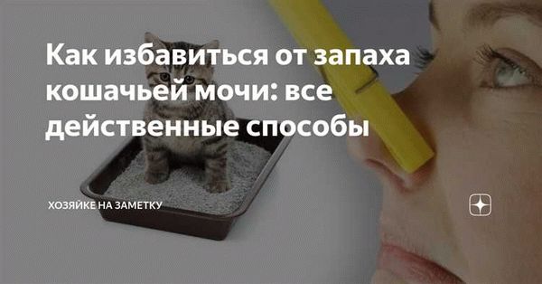 Применение специальных чистящих средств