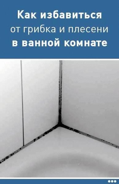 Почему нужно избавляться от плесени