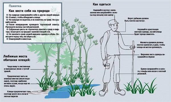 Лучший вариант – обратиться к профессионалам