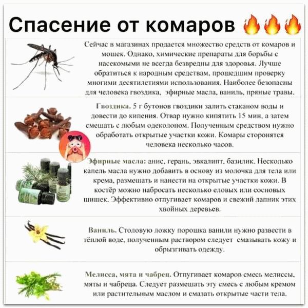 Самодельная липкая приманка