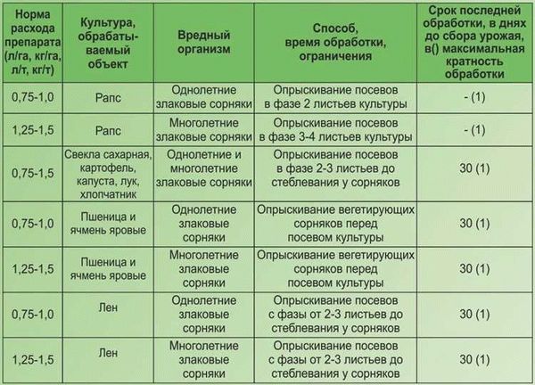 Молоты на огороде: реальные отзывы и эффективные способы их устранения