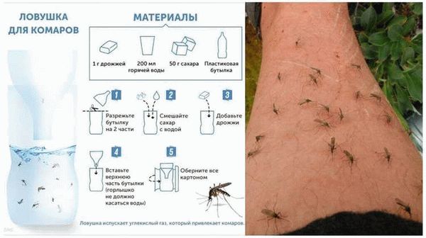 Предупреждение повторного появления мошек