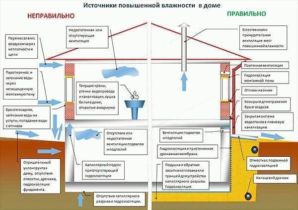 Чем опасна сырость?