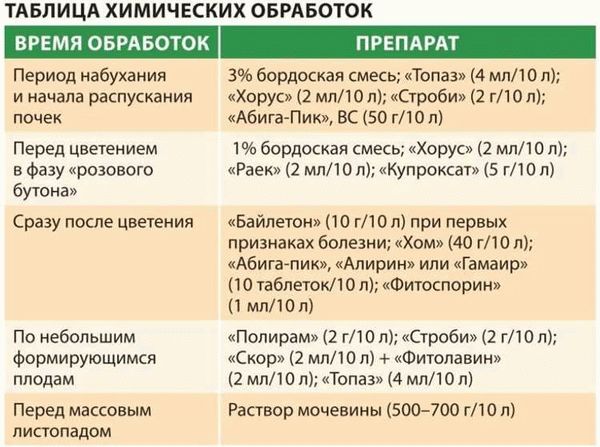 Профилактика появления тли на деревьях