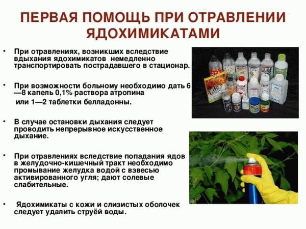 Регулярная уборка и дезодорирование