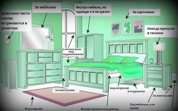 Внимание к мебели и предметам обихода