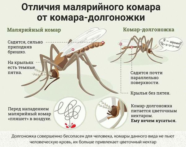 Как узнать, кто укусил?