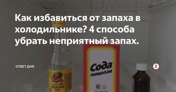 Как очистить холодильник от запаха тухлого мяса с помощью специализированных средств